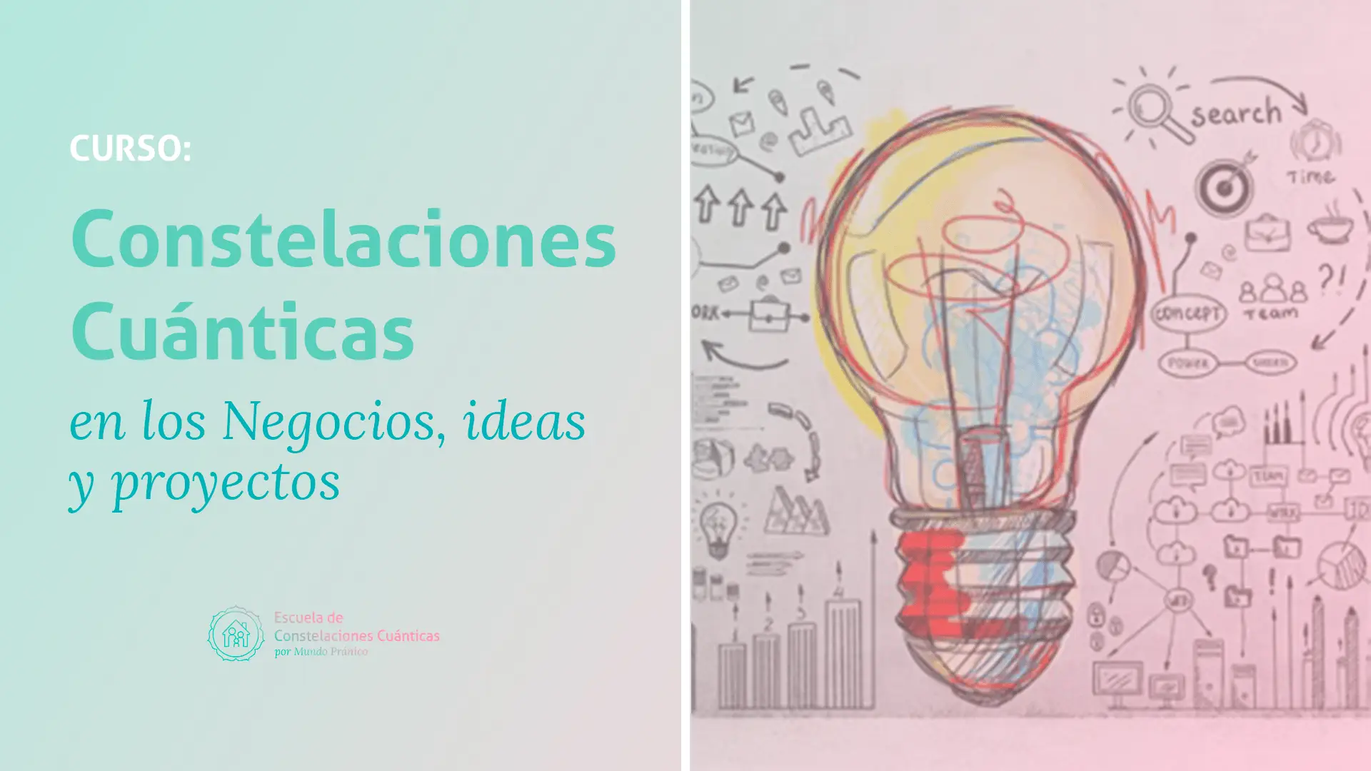 CC Negocios